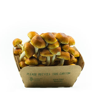 Organic chestnut mushrooms