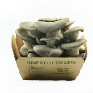 organic oyster mushrooms