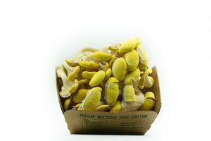 Golden Oyster Mushrooms