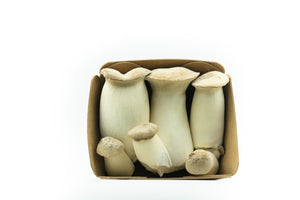 King Trumpet Oyster Mushroom